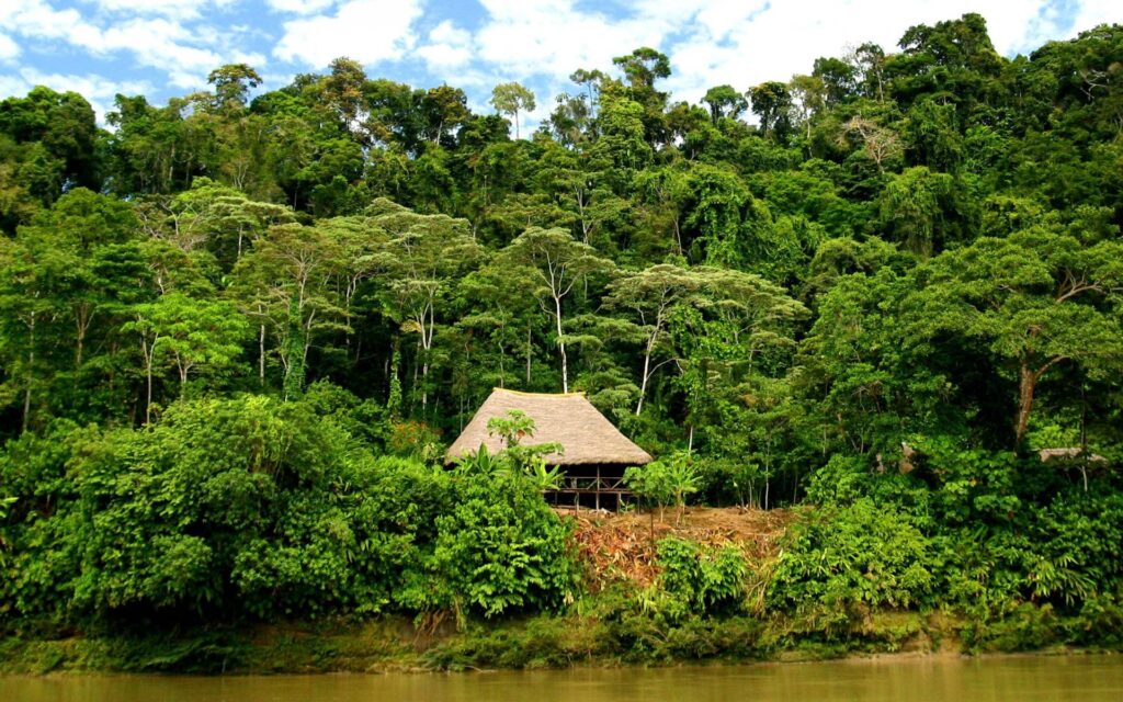 Ecuador Regenwald