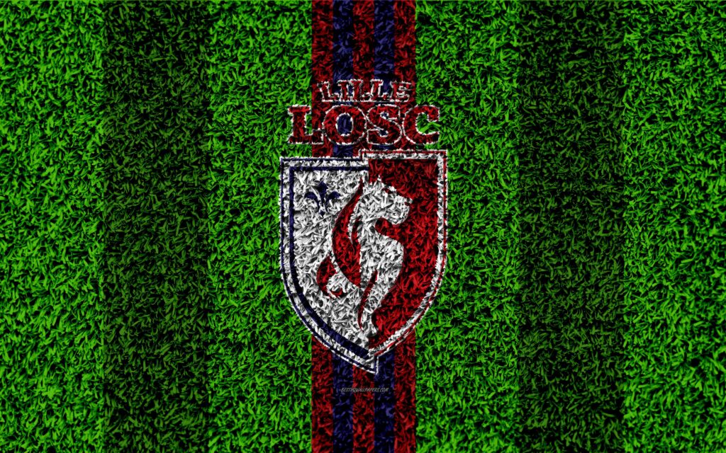 Download wallpapers Lille OSC, k, football lawn, logo, French