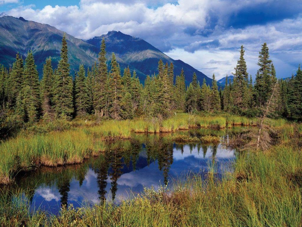 Wrangell St Elias National Park, Alaska