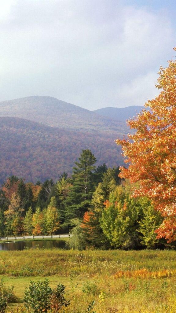 Download Wallpapers Park, Vermont, Trees, Autumn iPhone