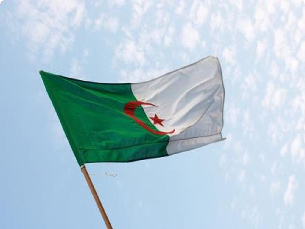 Algeria flag wallpapers