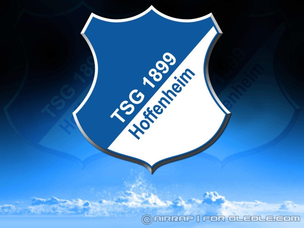 Hoffenheim Logo Sport