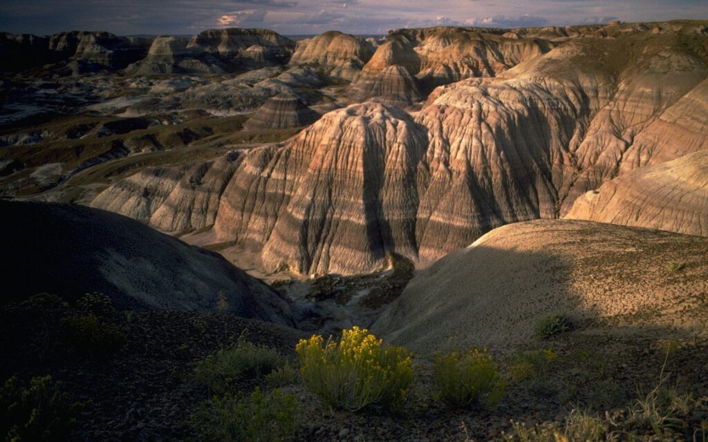 Petrified Badlands