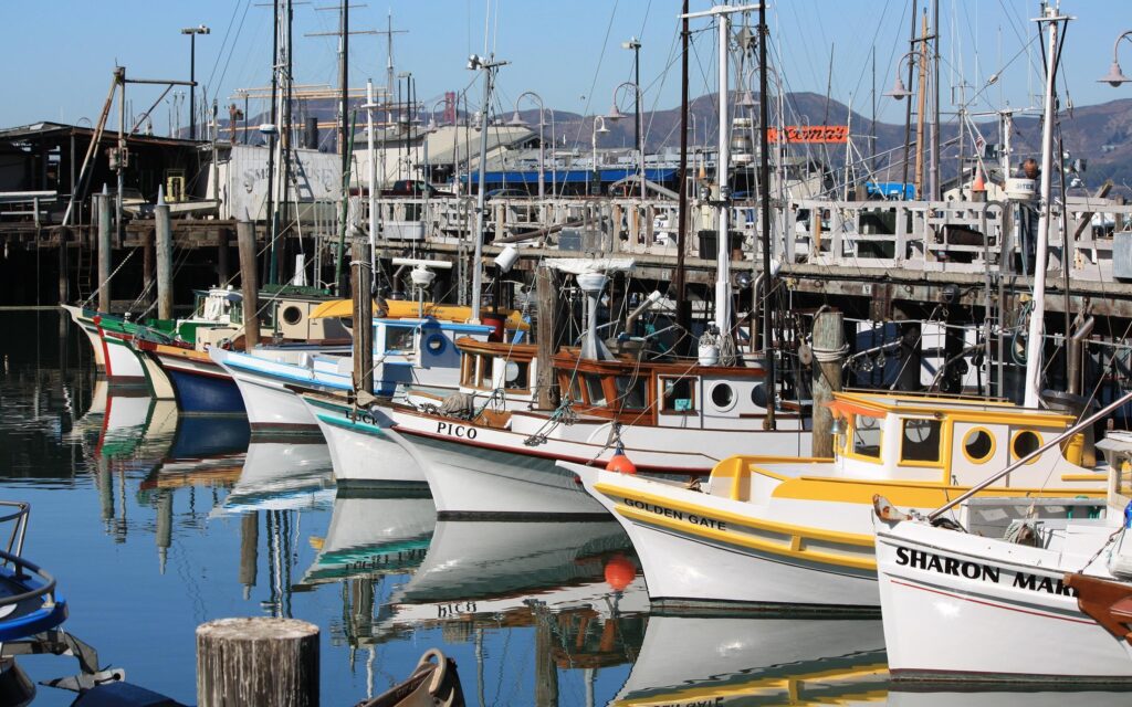 Fisherman’s Wharf 2K desk 4K wallpapers Widescreen High