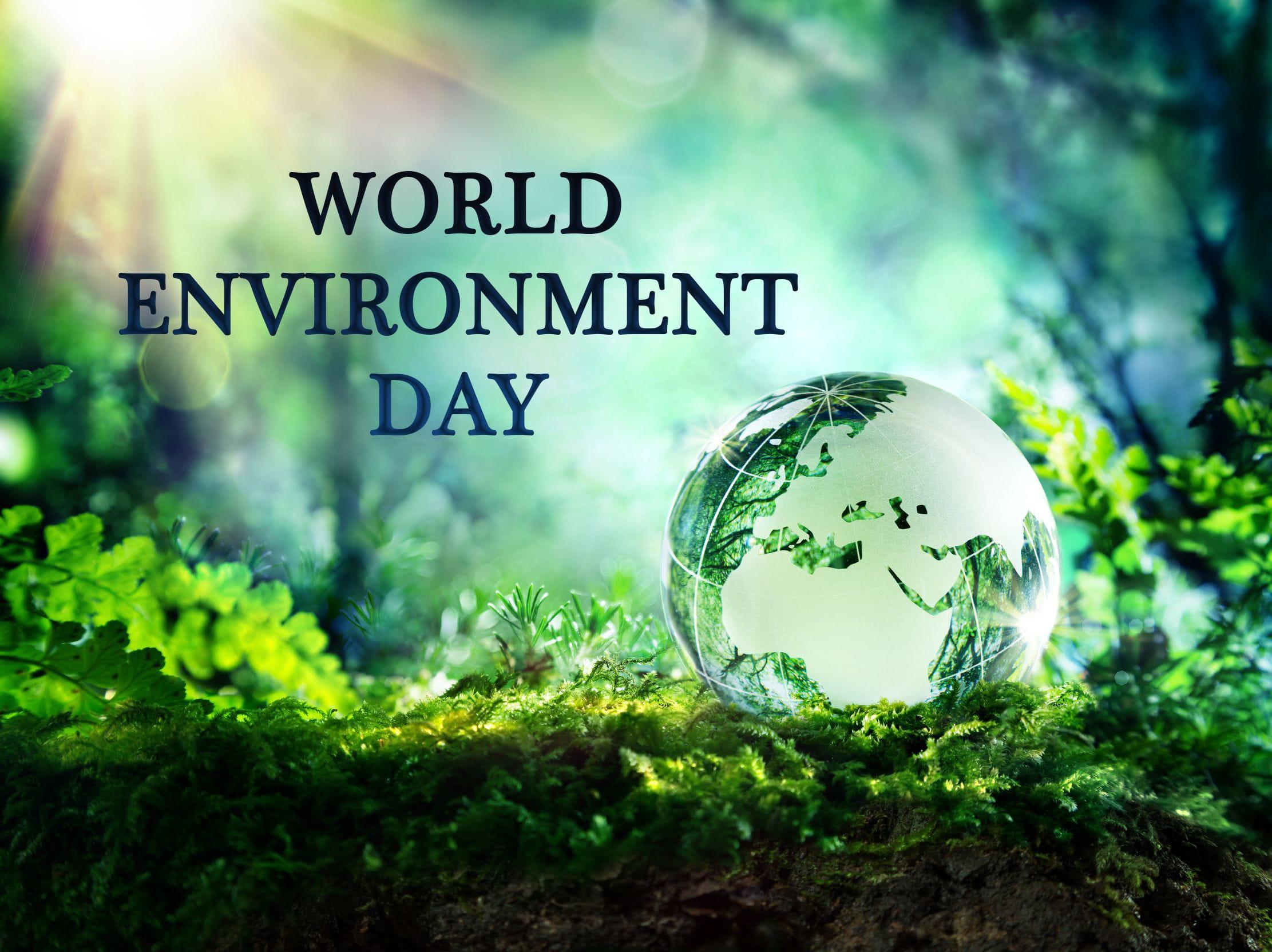 World Environment Day Hand Nature 2K Wallpaper