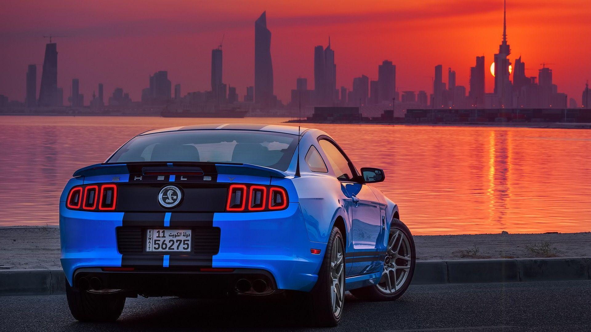 Shelby GT, Ford USA, Car, Ford Mustang Shelby, Sunrise, Kuwait