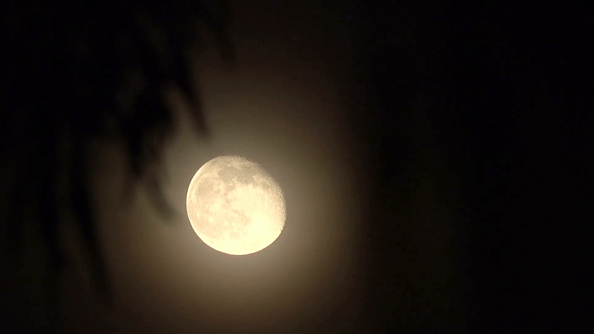 HD tight waning gibbous moon super detail v Stock Video Footage