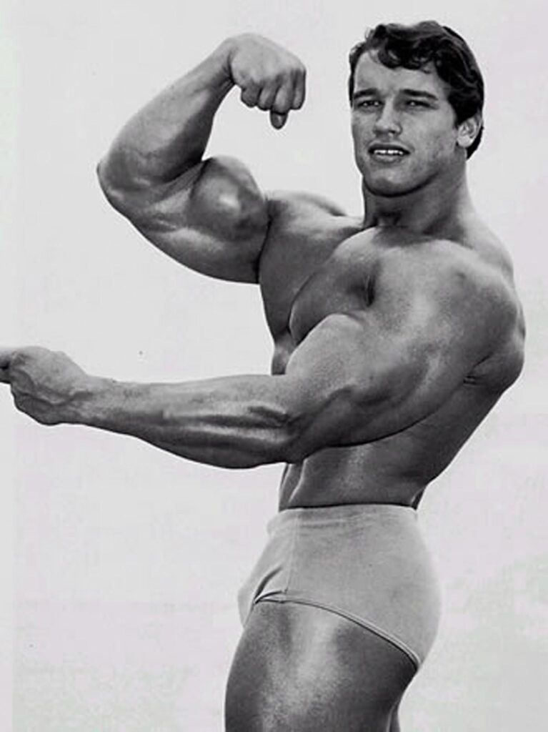 Arnold Schwarzenegger Bodybuilding Wallpapers Posters and Pictures
