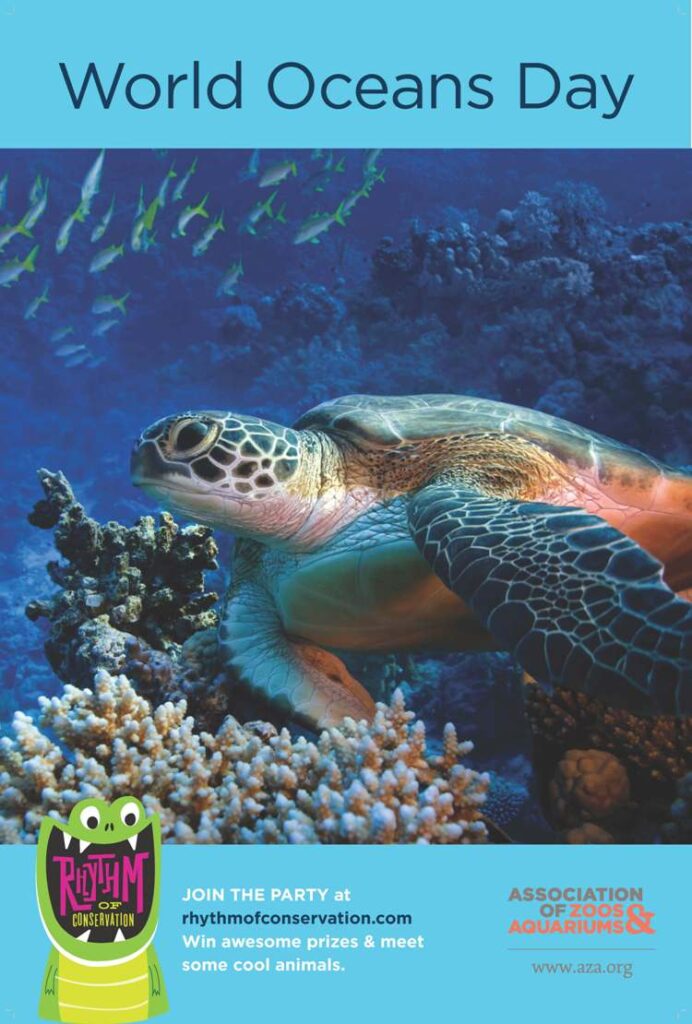 Best World Ocean Day Wish Pictures And Wallpaper