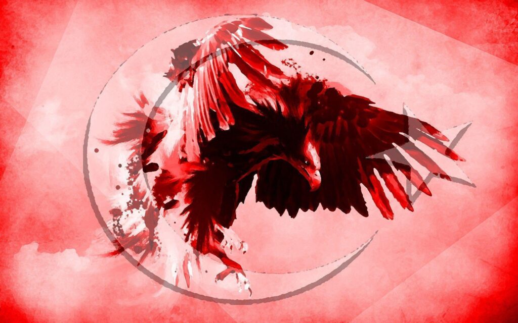 Eagle, the Turkish flag wallpapers and Wallpaper