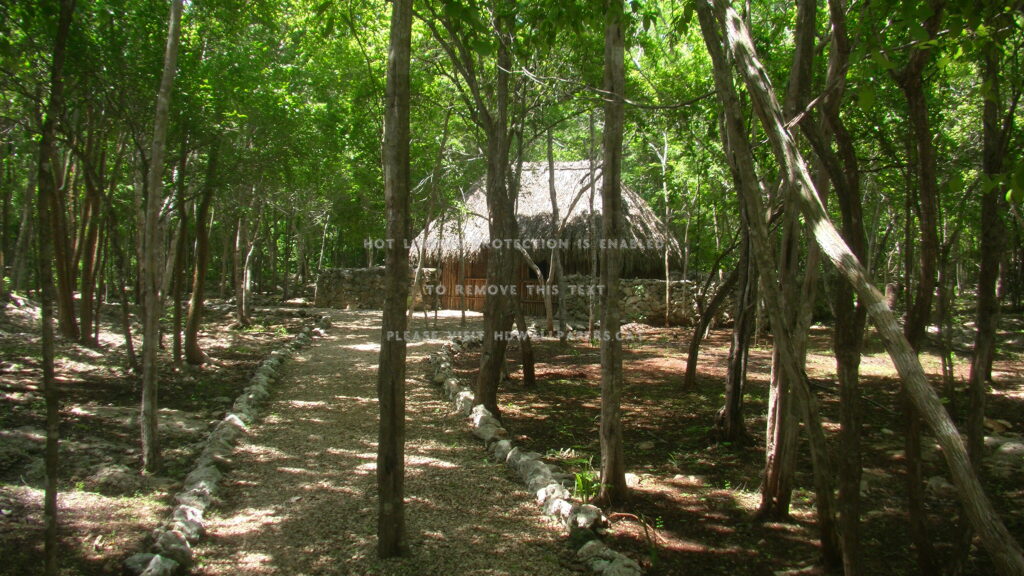 Ek balam yucatan peninsula forest nature