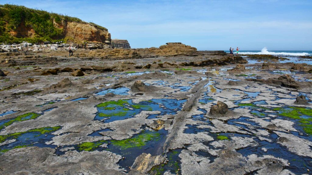 Curio Bay|Porpoise Bay Southland places to visit