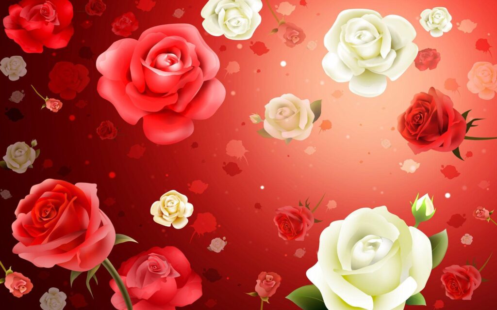 Roses wallpapers