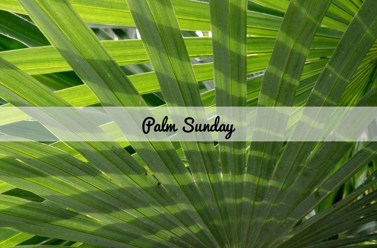 Palm Sunday 2K Wallpapers and Wallpaper Download Free
