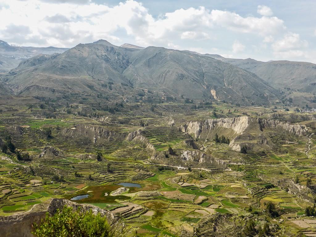 Trekking The Colca Canyon, Peru – TrekSnappy