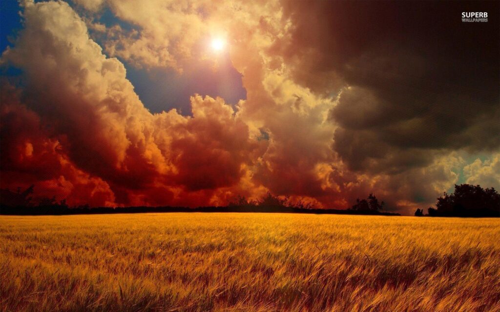Storm clouds over wheat field wallpapers