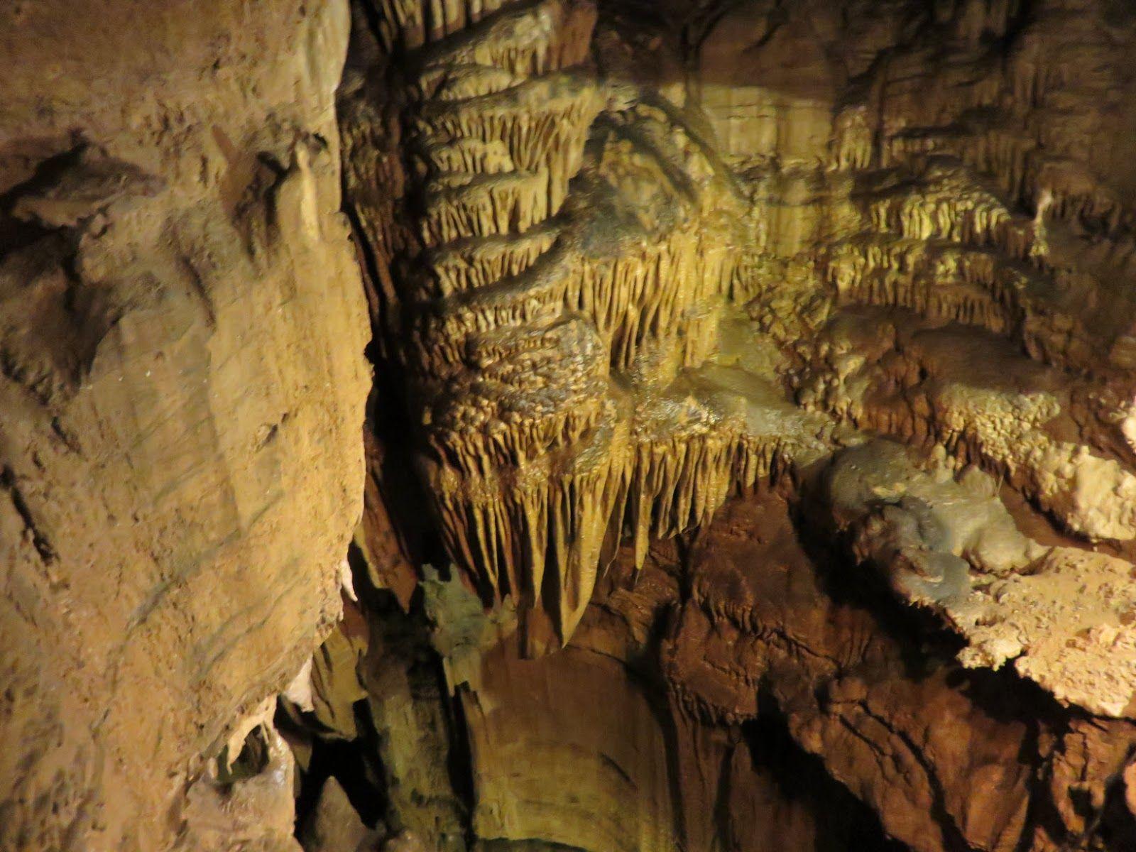 ShoreXplorers Mammoth Cave is