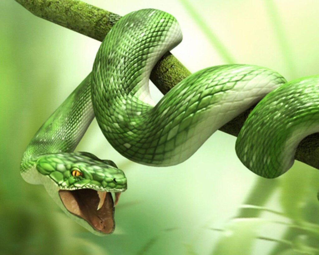 Green d Snake 2K Wallpapers