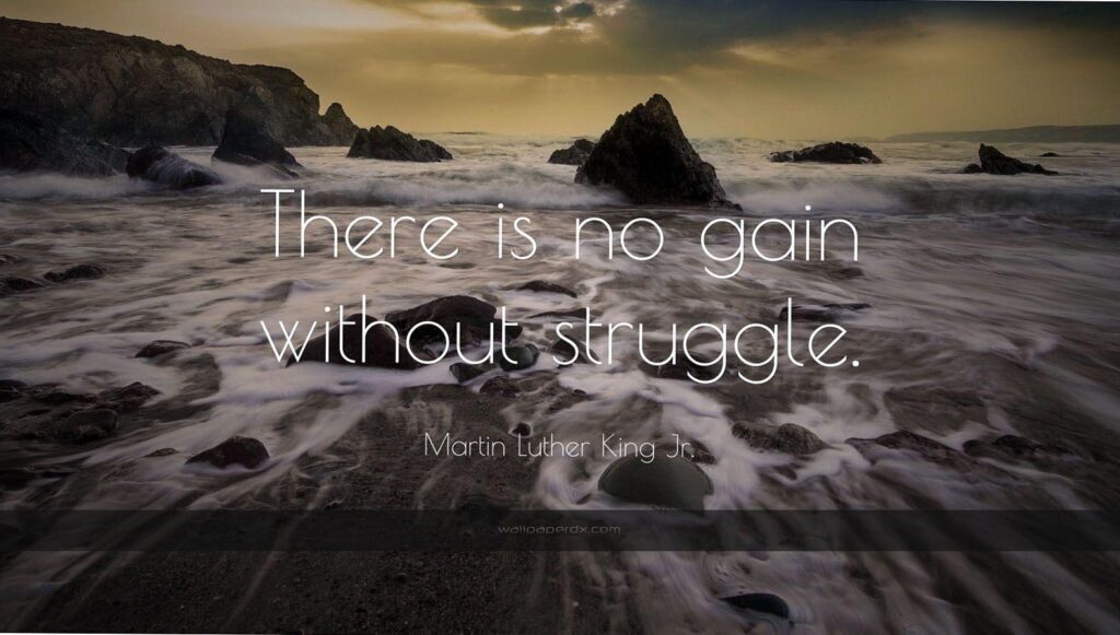 Martin luther king jr quote there is no gain without struggle