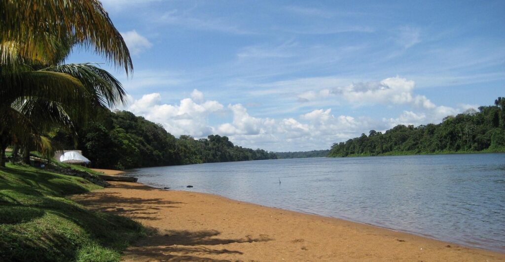 River and Tropical Coas in Suriname Wallpapers