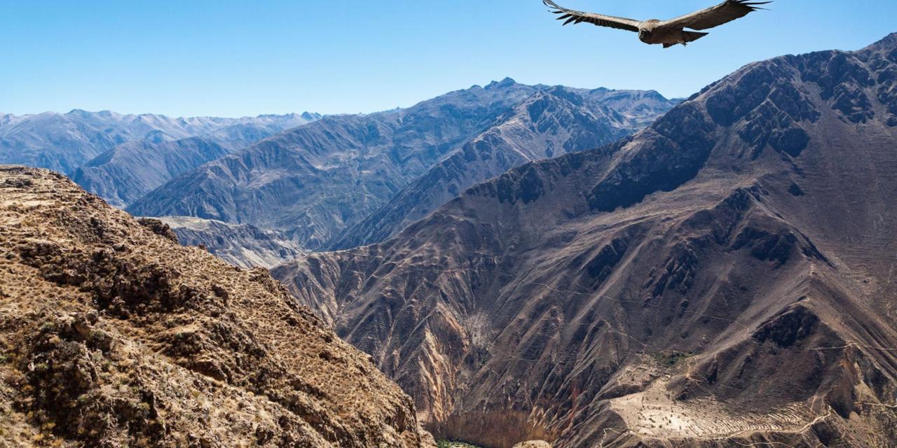 The Colca Canyon – World’s Largest Canyon – World for Travel