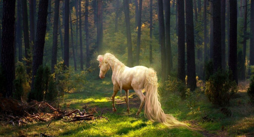 Horse horses nature wildlife animal wallpapers
