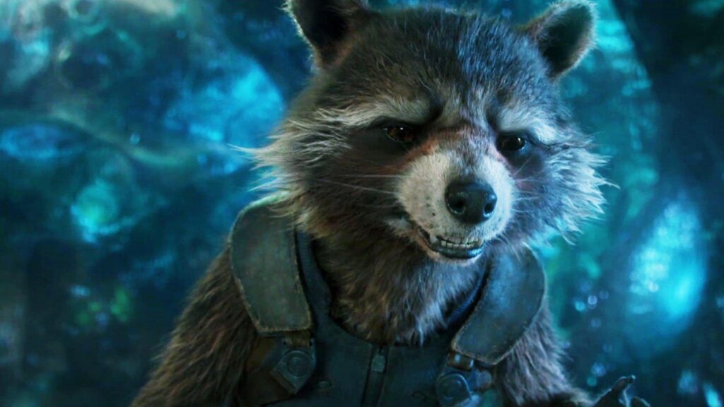 Guardians Of The Galaxy Vol Rocket Raccoon Funny Wallpapers