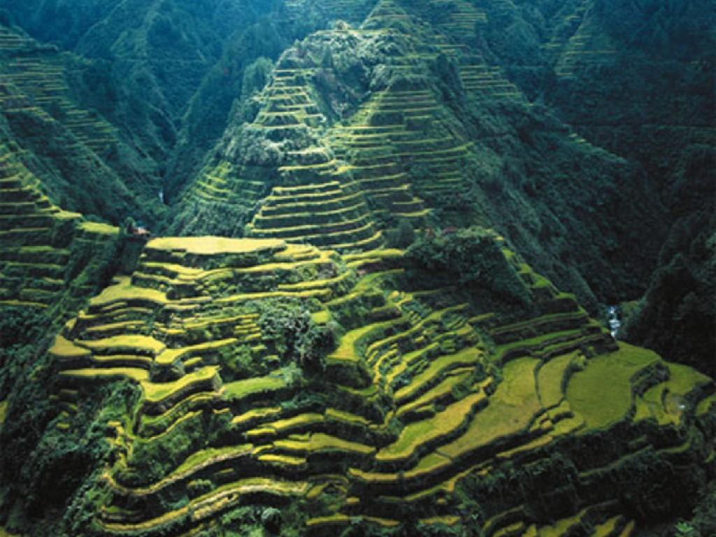 Stairways Heaven Banaue Rice Terraces Rerrces Mountains Green