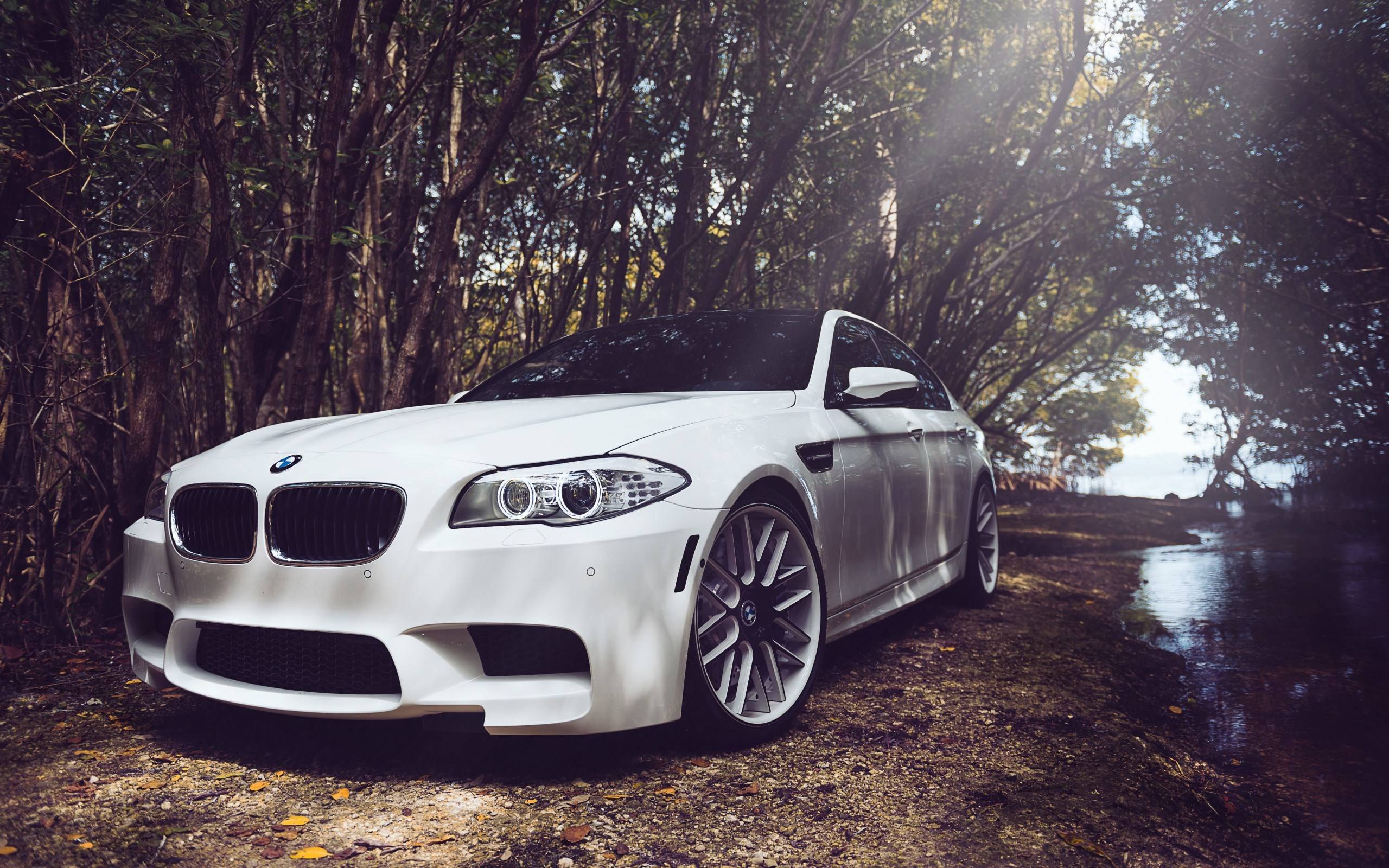 BMW M F Car Wheels Tuning Forest 2K Wallpapers