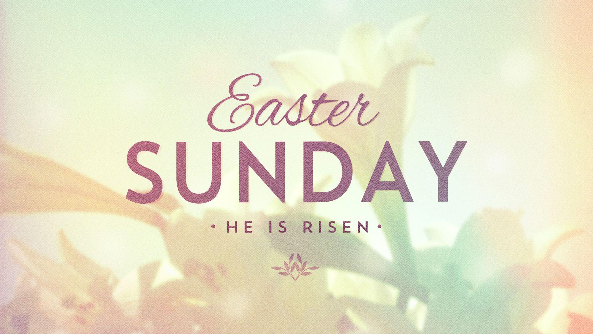 ^ Easter Sunday Quotes, Wallpaper, Easter Bunny Wallpaper