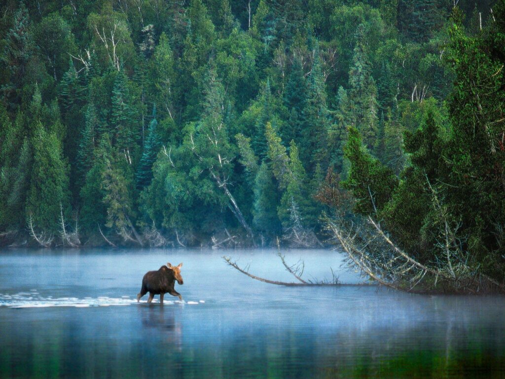 Isle Royale National Park Houghton, Michigan