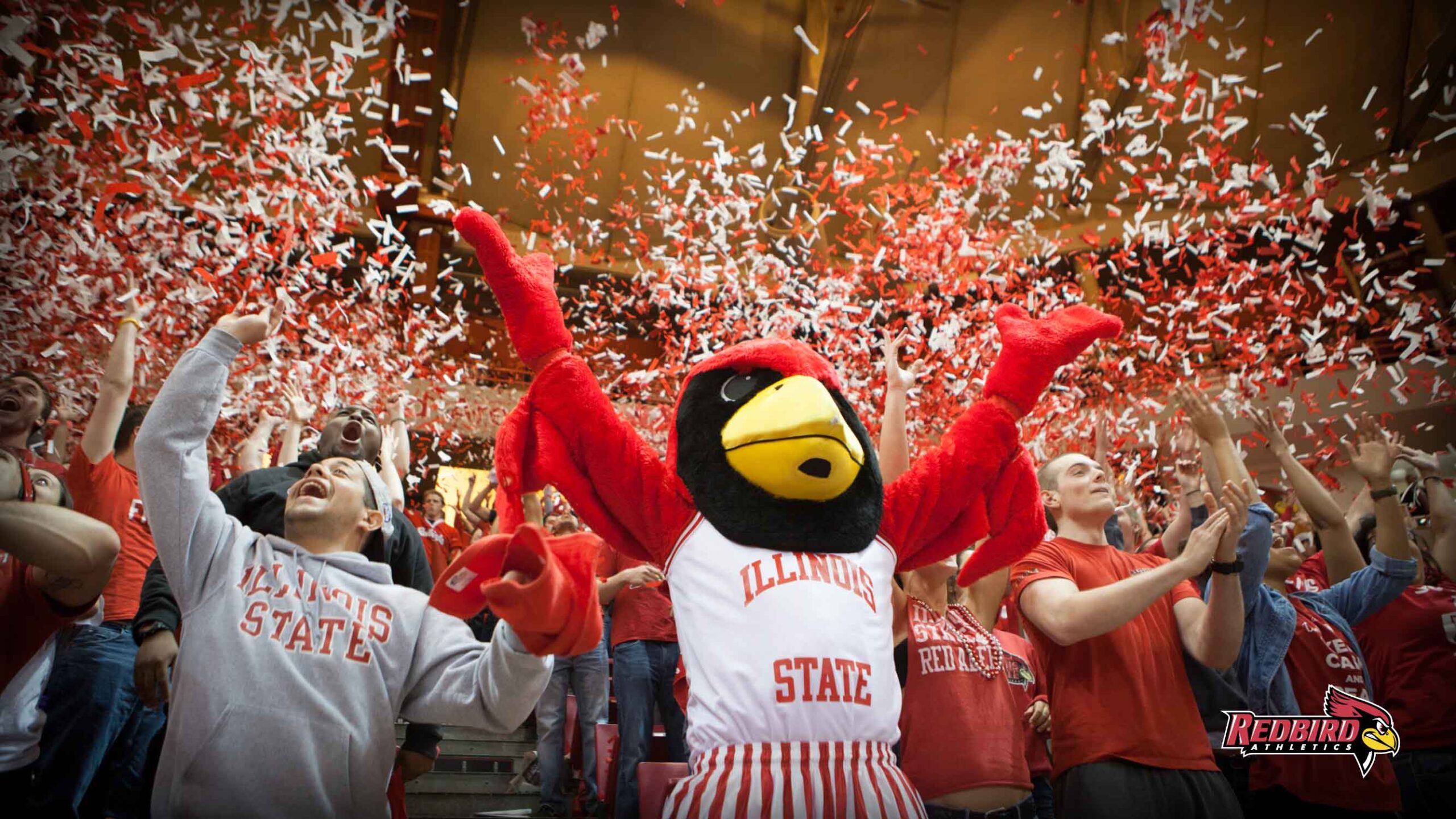 Illinois State Wallpapers