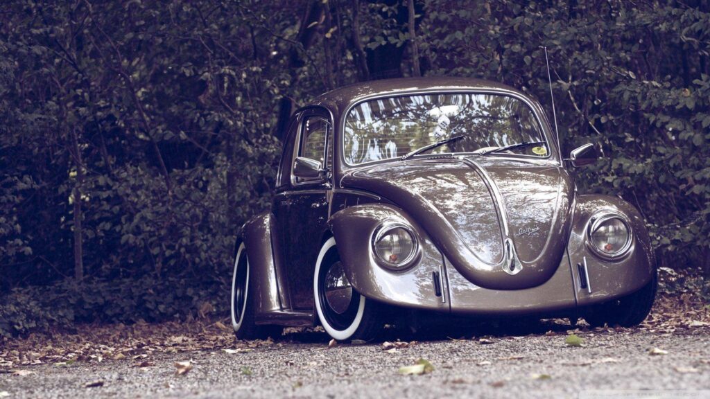 Vw bus beetle kombi fusca variant wallpapers