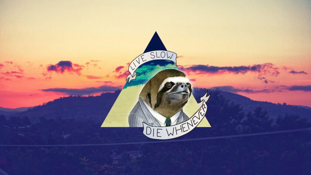 Sloth wallpapers is best wallpapers sloths