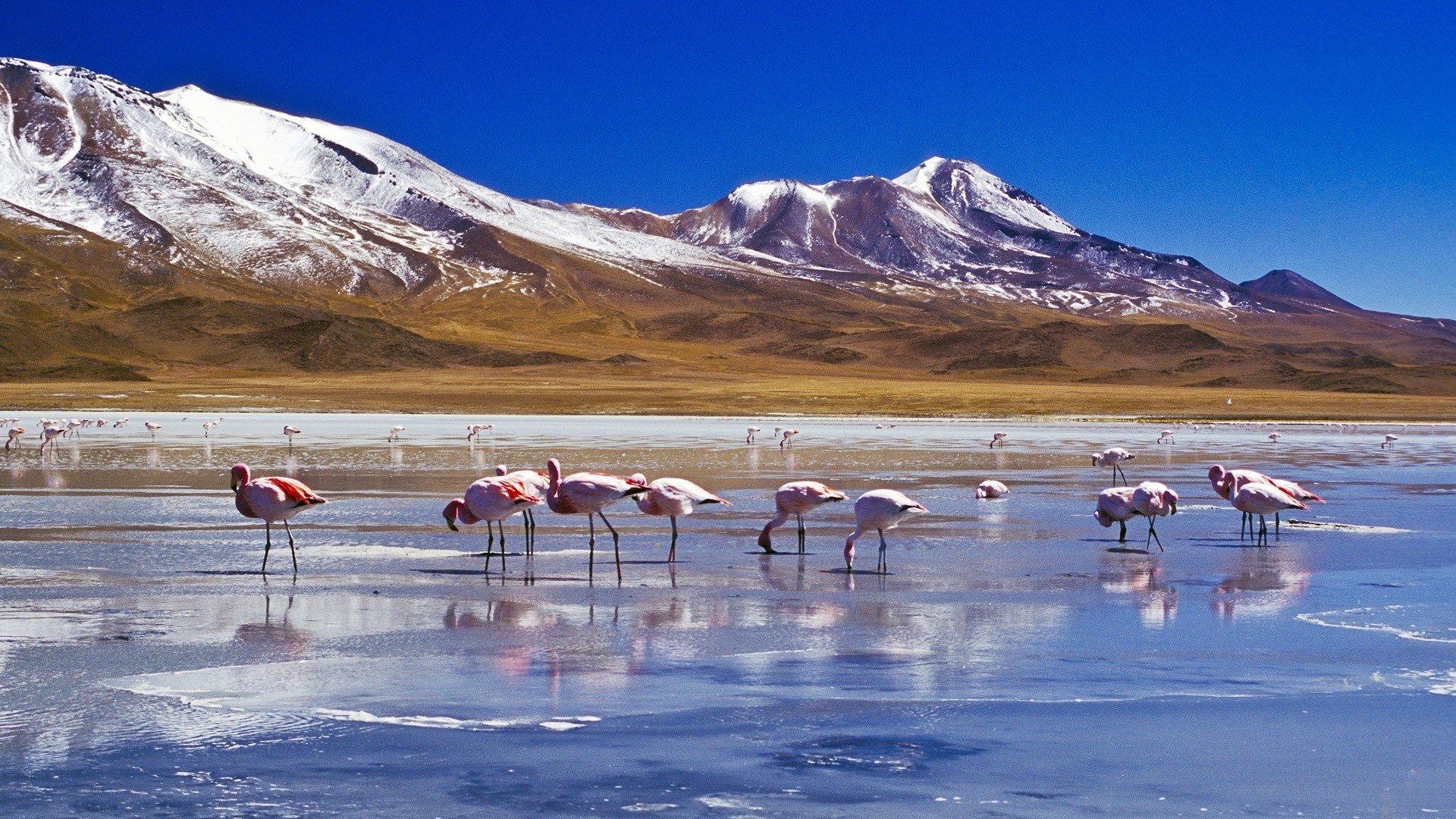 The Salar de Uyuni salt flats in Bolivia 2K Wallpapers