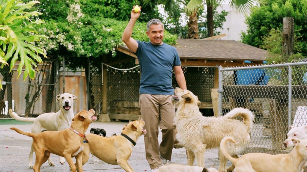 Cesar Millan’s Long Walk To Becoming The ‘Dog Whisperer’ NPR