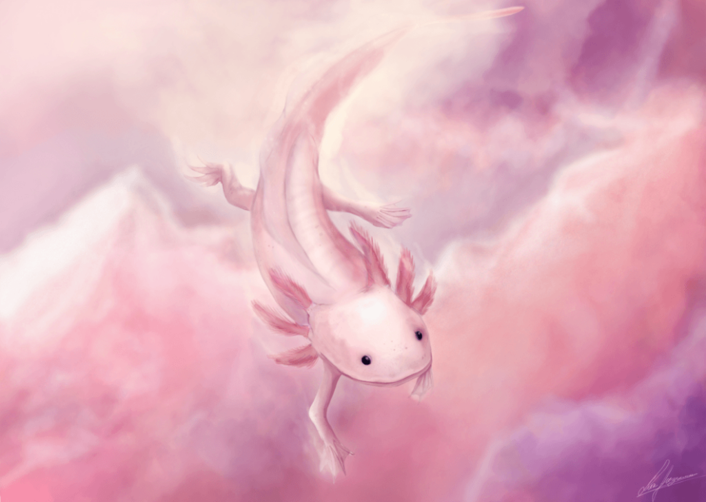 Animals Anonymous Axolotl and Olm by Mouselemur