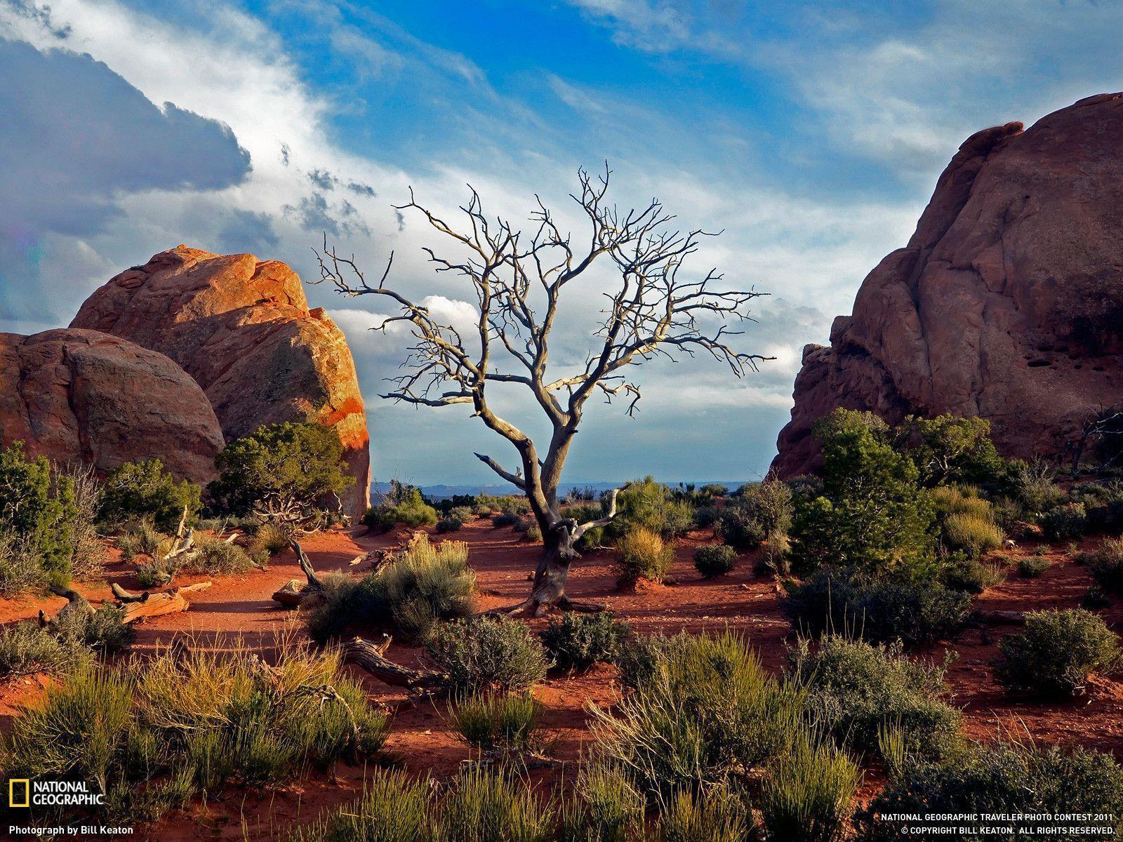 Arches National Park Picture – Travel Wallpapers