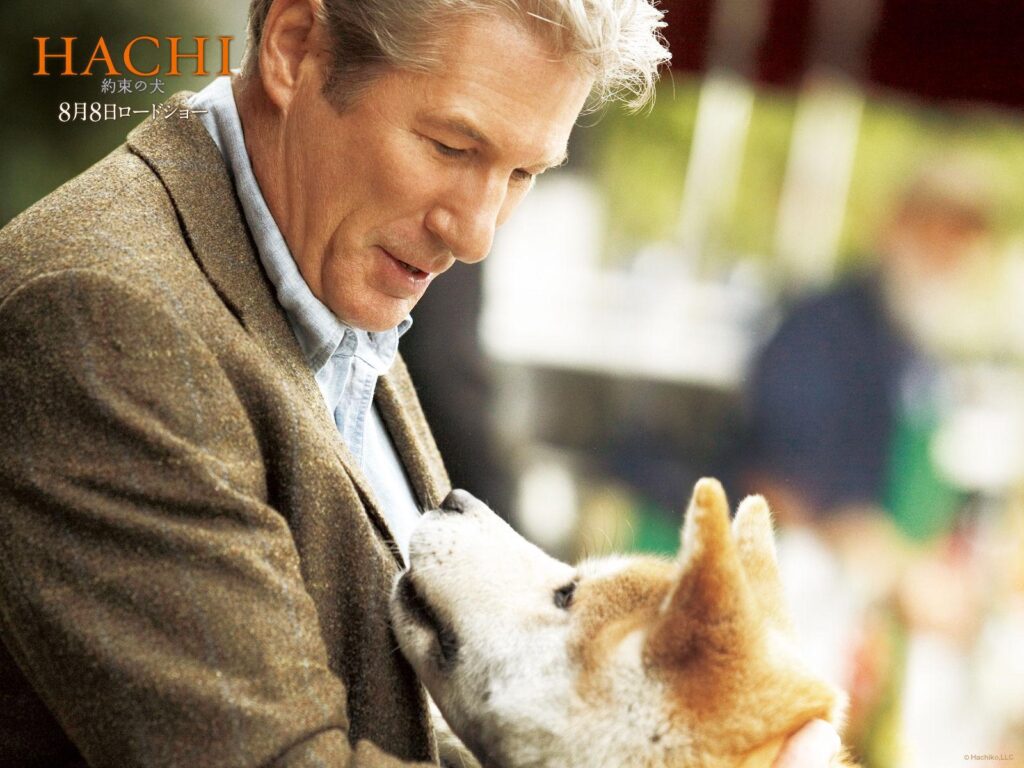 Akita Inu and Richard Gere, the film Hachiko wallpapers and Wallpaper
