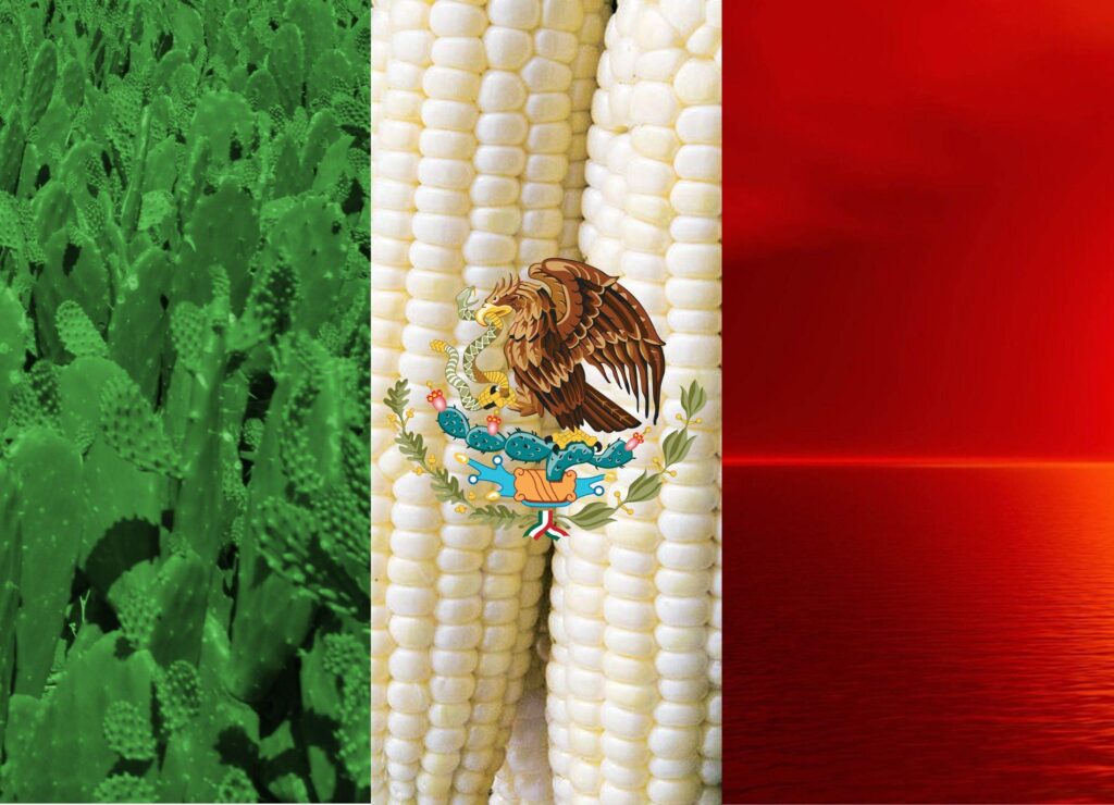 Mexico Flag Wallpapers Desktop