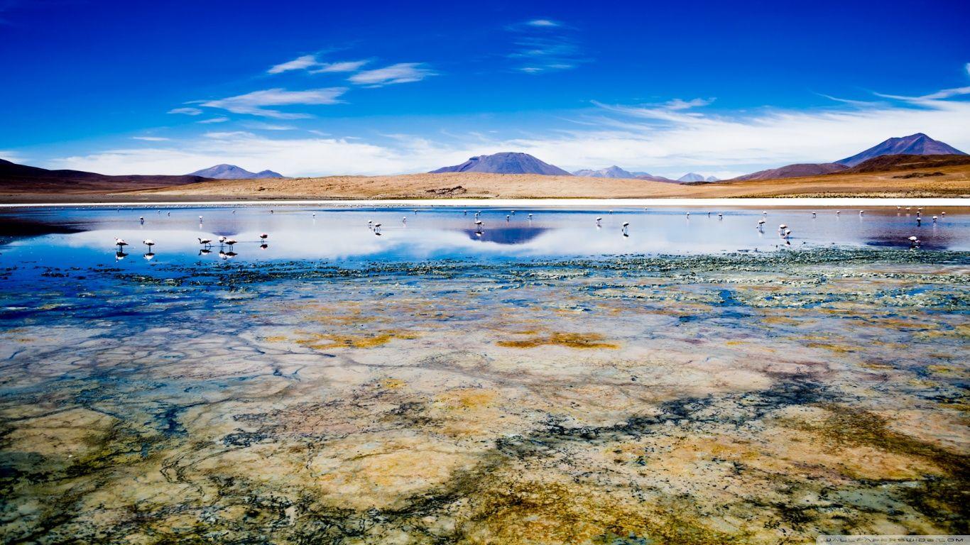 Cañapa Lake, Bolivia 2K HD desk 4K wallpapers Widescreen High