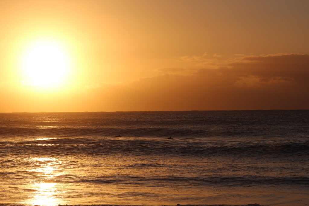 Free stock photo of africa, beach, durban