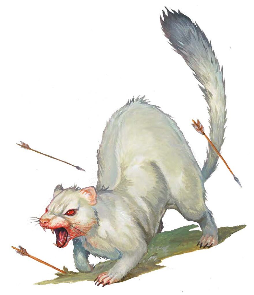 Expanding Codex Albino Death Weasel
