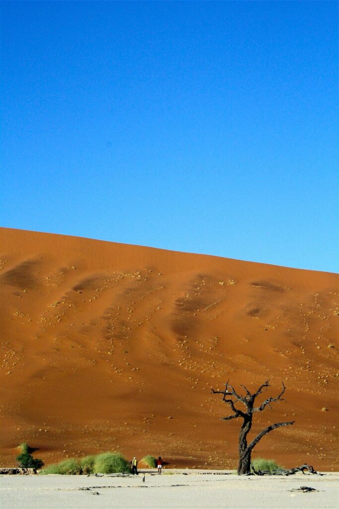 Sossusvlei Sand Dunes, Namib Naukluft Park, Namibia Pictures