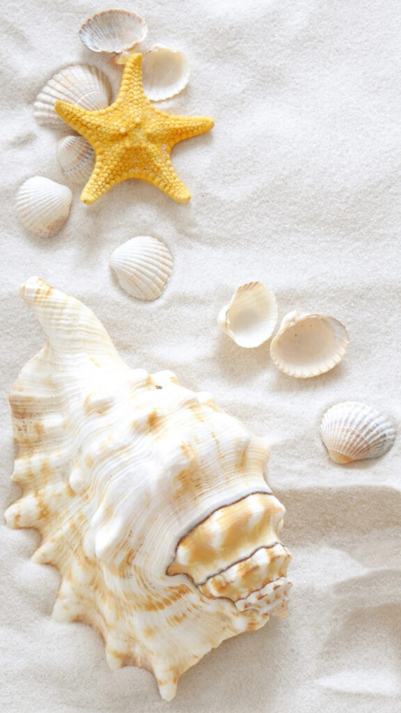 Samsung Galaxy S Sand and Clams Wallpapers