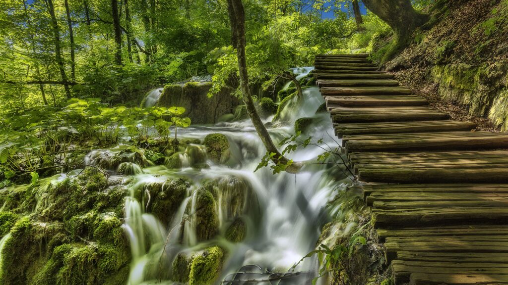 Photo Croatia Plitvice Lakes National Park Nature Bridges