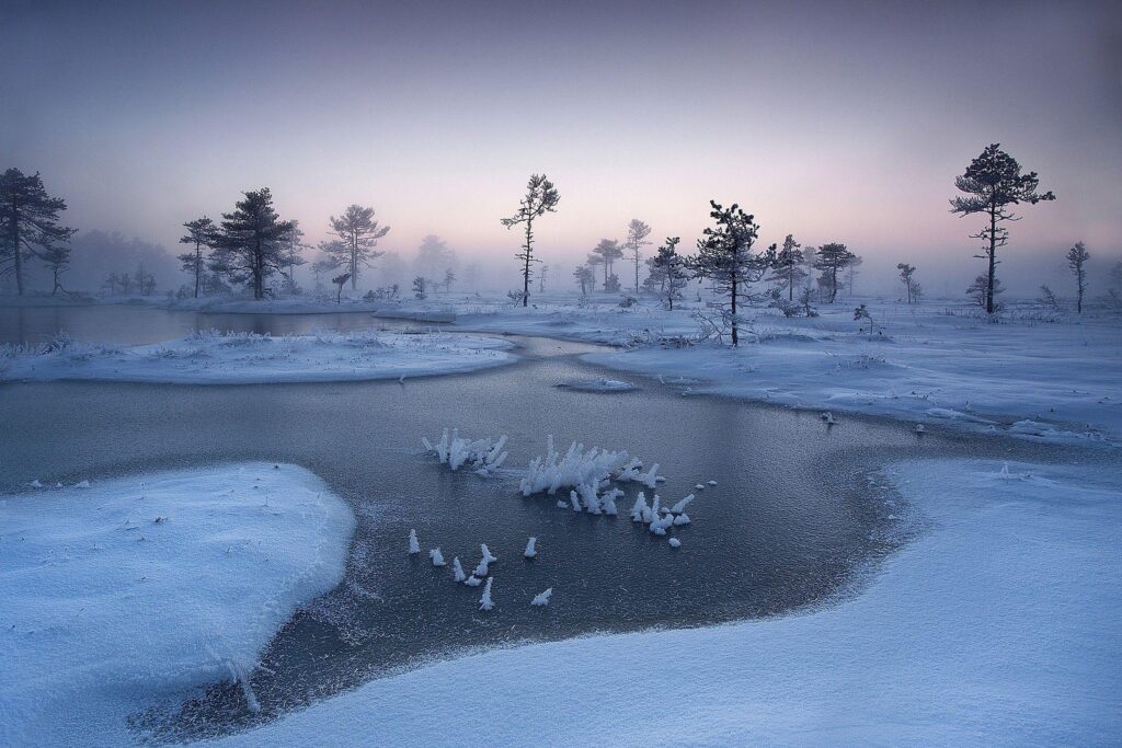 Nature, Landscape, Sunrise, Winter, Mist, River, Trees, Snow