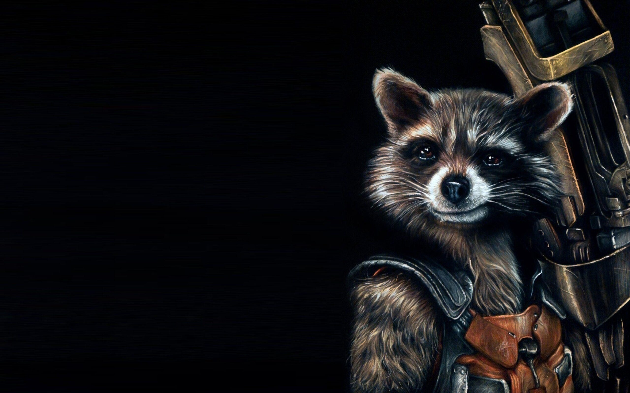 Download Wallpapers Guardians of the galaxy, Raccoon