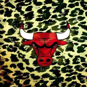 Chicago Bulls