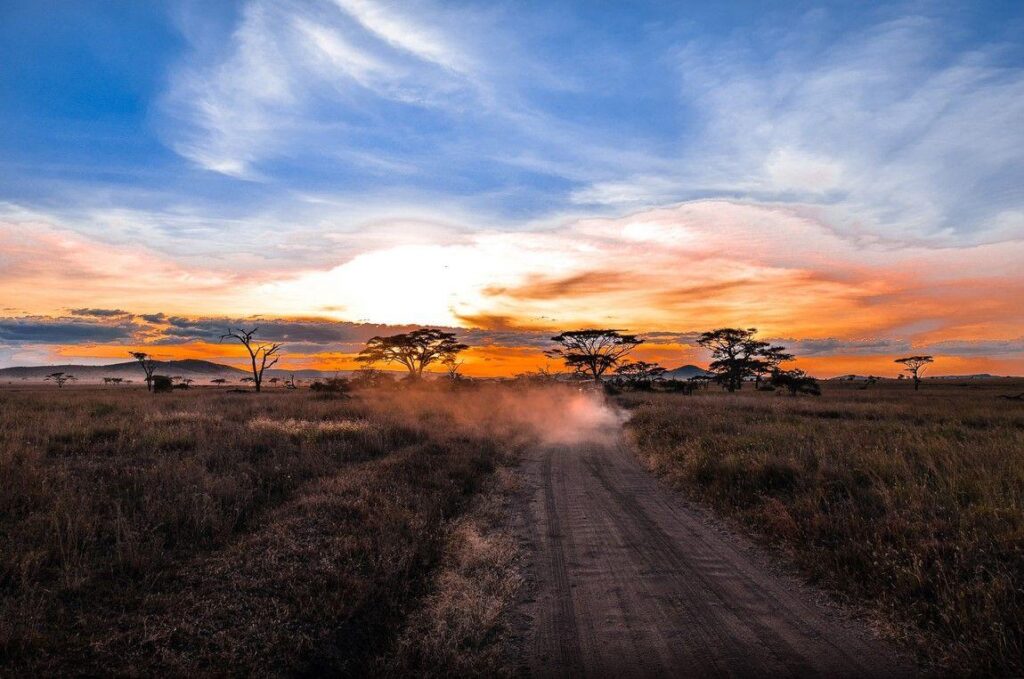 Serengeti National Park in Tanzania